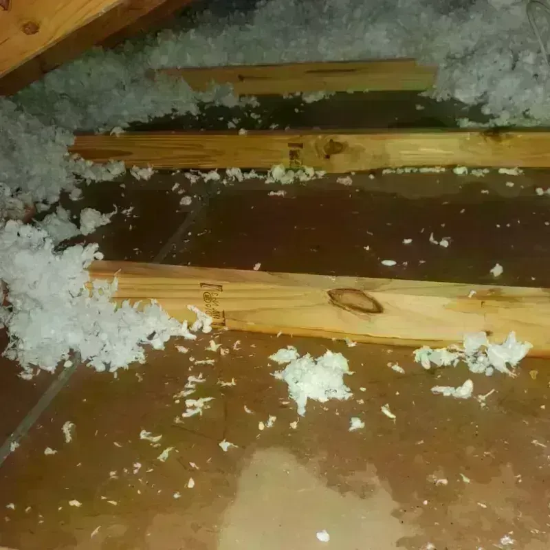 Attic Water Damage in Rossville, IN