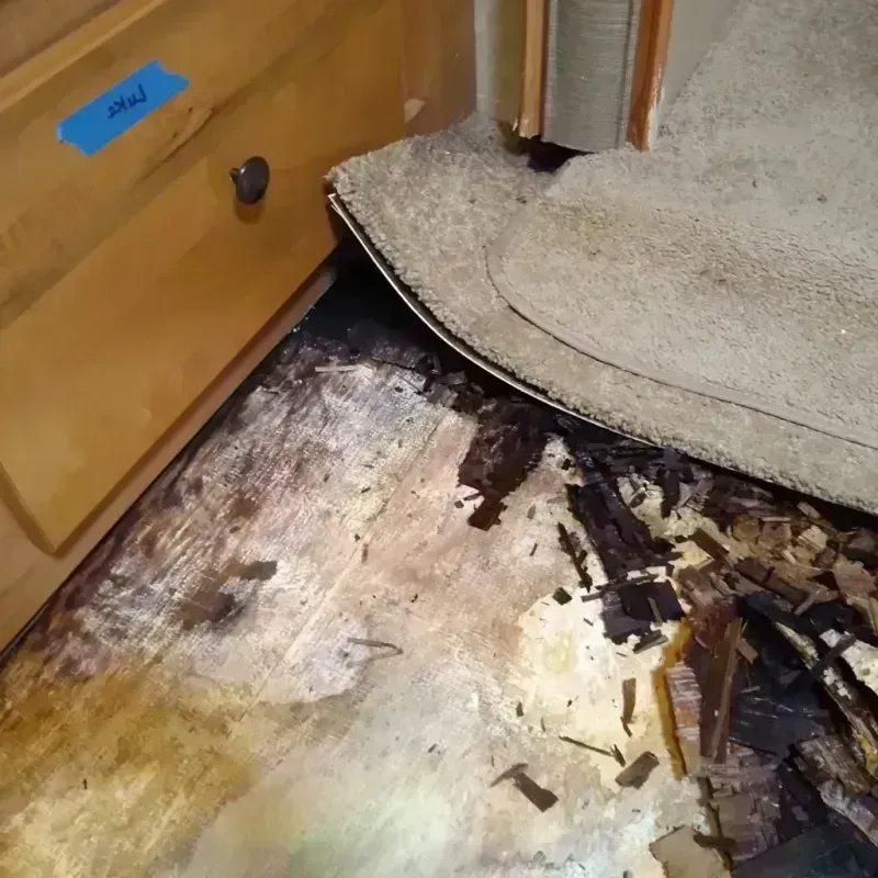 Best Wood Floor Water Damage Service in Rossville, IN